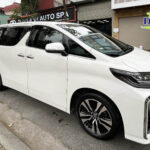 Alternative view of Cho Thuê Xe Toyota Alphard Hạng Sang