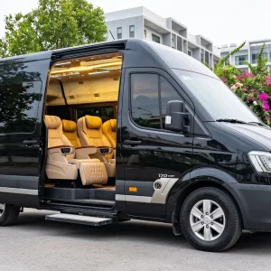 Cho Thuê Xe Dẫn Dâu Dcar Solati 12 Chỗ