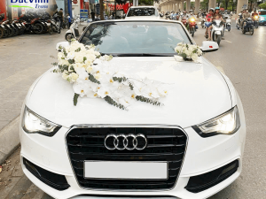 Cho Thuê Xe Cưới Audi A5 Mui Trần