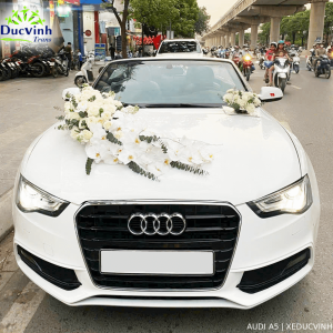 Cho Thuê Xe Cưới Audi A5 Mui Trần