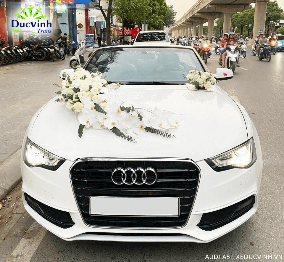 Cho Thuê Xe Cưới Audi A5 Mui Trần