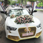 Cho Thuê Xe Cưới Audi S5 Mui Trần