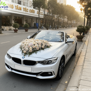 Alternative view of Cho Thuê Xe Cưới BMW 420i Mui Trần