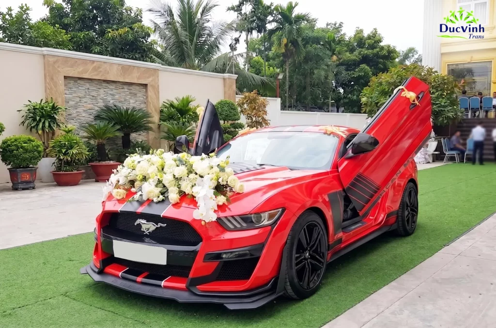 Cho Thuê Xe Cưới Ford Mustang Hạng Sang
