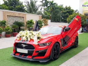 Cho Thuê Xe Cưới Ford Mustang Hạng Sang