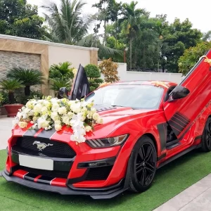 Cho Thuê Xe Cưới Ford Mustang Hạng Sang