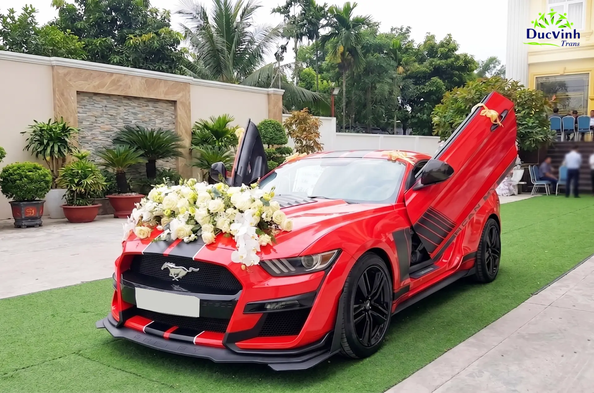 Cho Thuê Xe Cưới Ford Mustang Hạng Sang