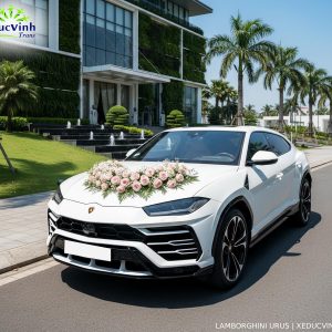Cho Thuê Siêu Xe Cưới Lamborghini Urus