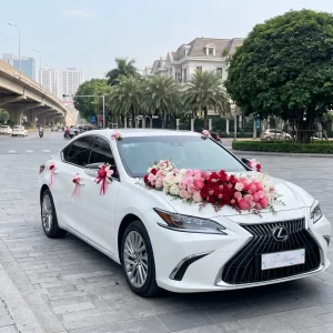 Cho Thuê Xe Cưới Lexus IS Sang Trọng