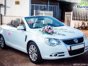 Cho Thuê Xe Cưới Volkswagen Eos Mui Trần