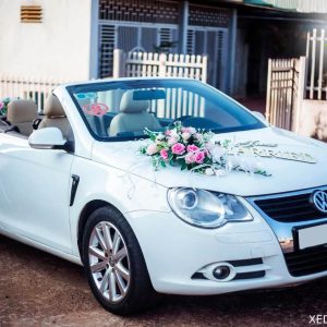 Cho Thuê Xe Cưới Volkswagen Eos Mui Trần