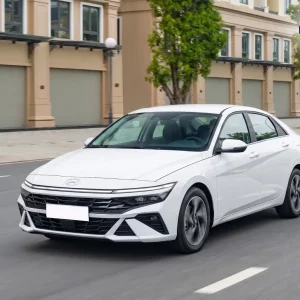 Cho Thuê Xe Hyundai Elantra Theo Tháng