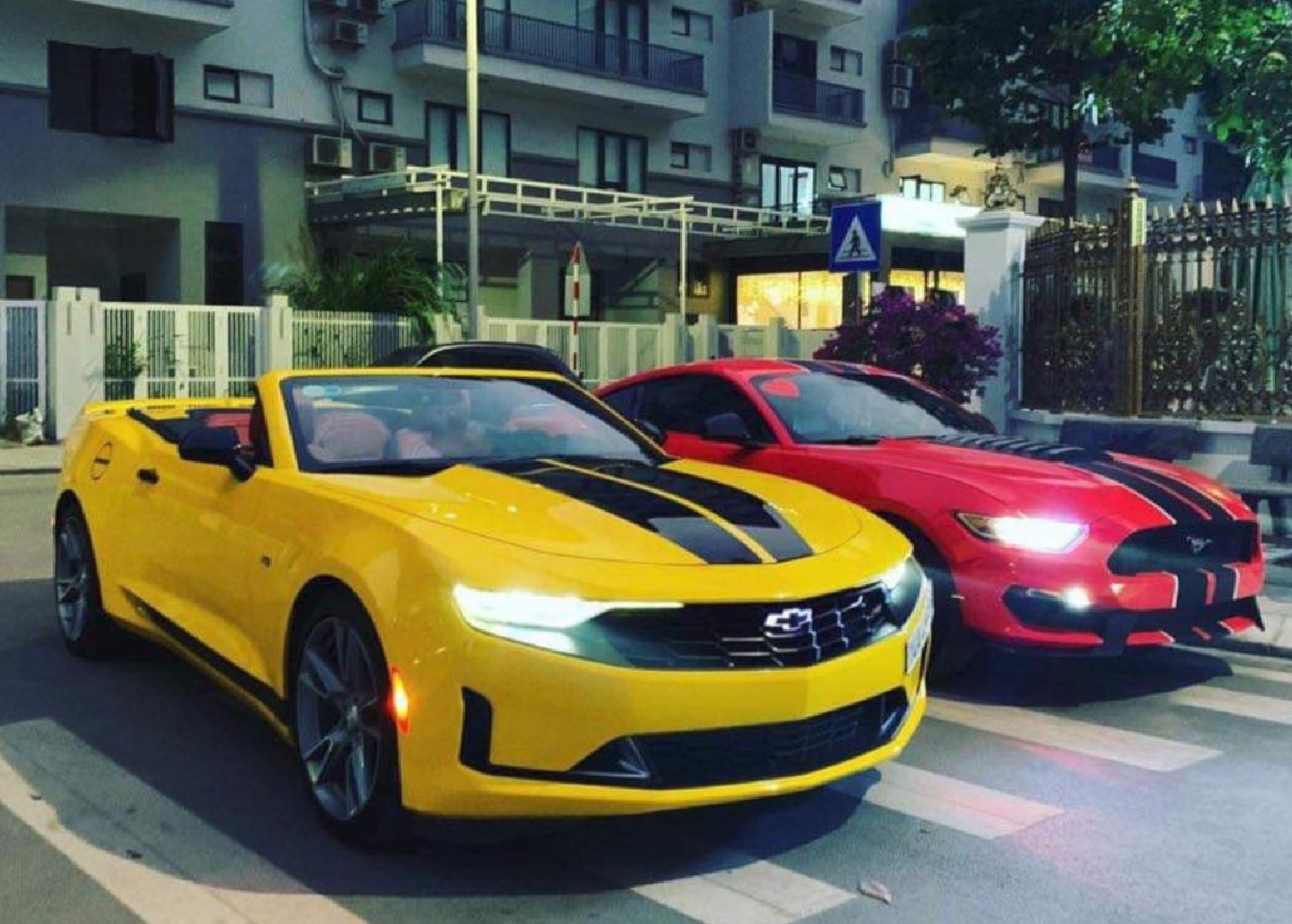 Cho Thuê Xe Ford Mustang Hạng Sang