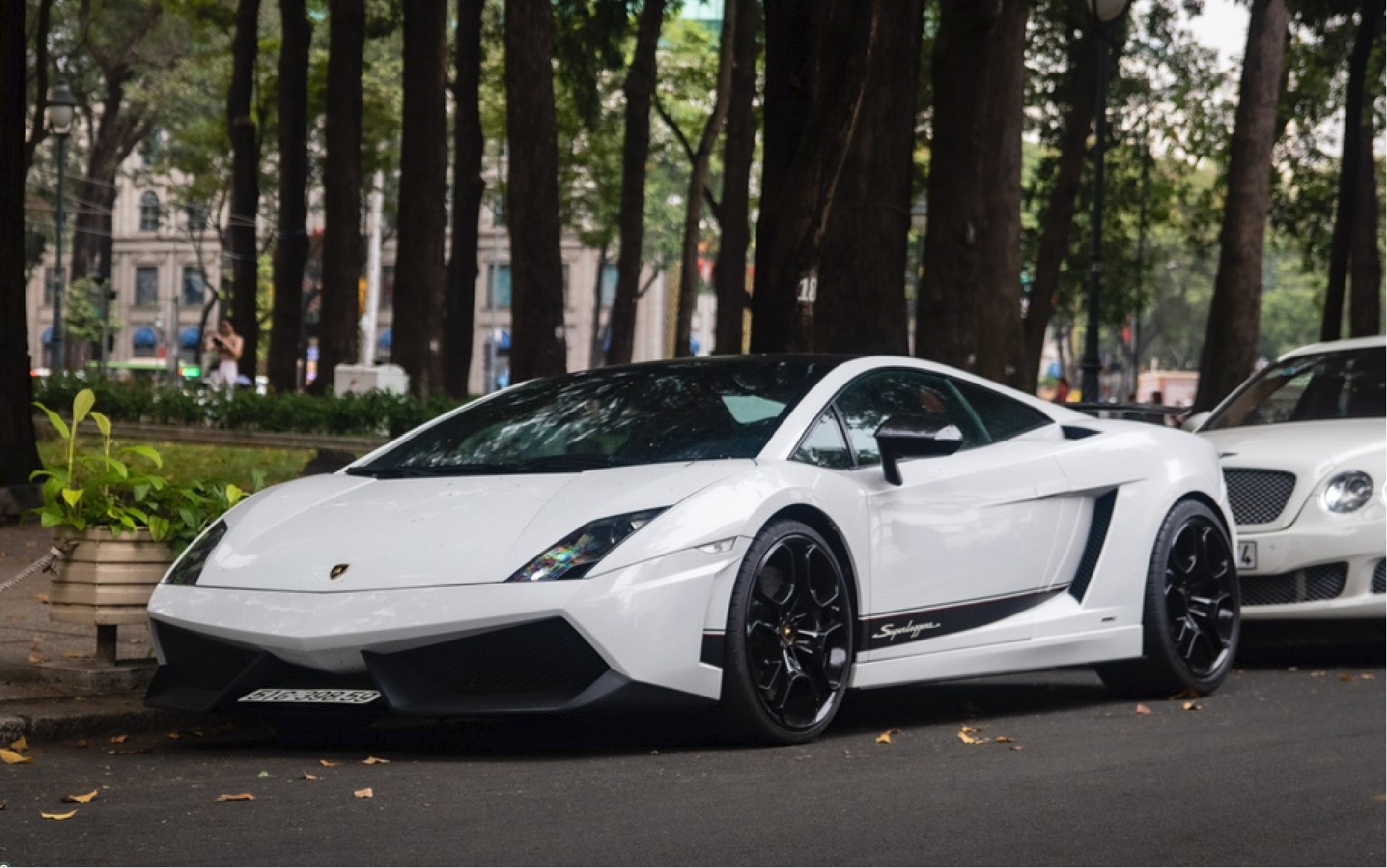 Cho Thuê Siêu Xe Lamborghini Gallardo