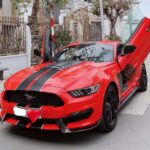Cho Thuê Xe Ford Mustang Hạng Sang
